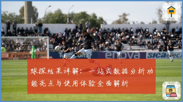球探结果详解：一站式数据分析功能亮点与使用体验全面解析