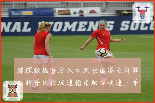 球探数据官方入口及功能亮点详解，新手认证极速指南助你快速上手